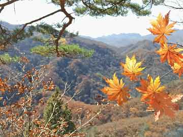 山东公务员考试时间（山东公务员考试时间表）